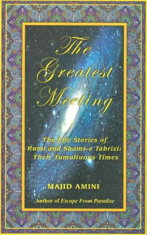Cover of the book The Greatest Meeting by Majid Amini