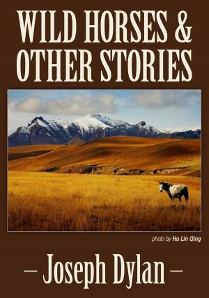 Cover of the book Wild Horses and Other Stories by Damian Hamill