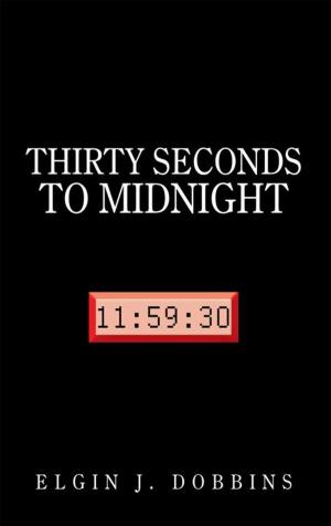 Cover of the book Thirty Seconds to Midnight by Melissa Lynch