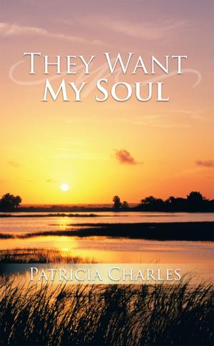 Cover of the book They Want My Soul by R.E. Dinlocker