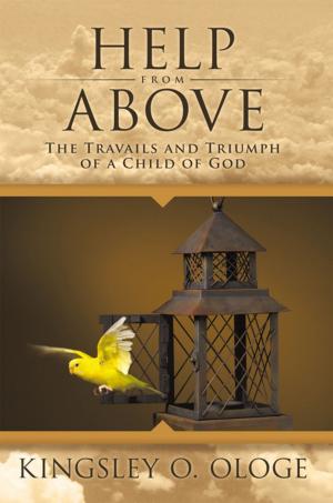 Cover of the book Help from Above by Joy Long