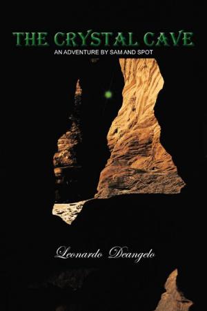 Cover of the book The Crystal Cave by Wiehahn Taute