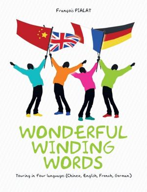 Cover of the book Wonderful Winding Words by Verona J. Knight