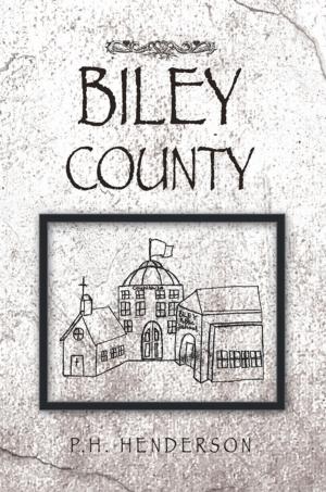 Cover of the book Biley County by Simon Cambridge