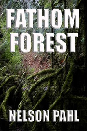 Cover of the book Fathom Forest by Melissa McClone