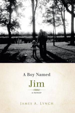 Book cover of A Boy Named Jim