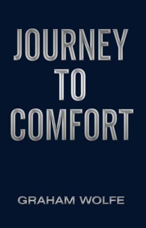 Book cover of Journey to Comfort
