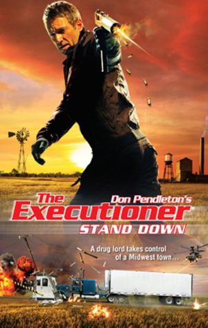 Cover of the book Stand Down by Alex Archer
