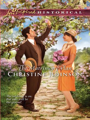 Cover of the book The Matrimony Plan by Judy Christenberry