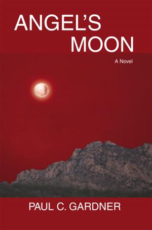 Book cover of Angel's Moon