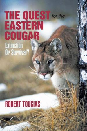 Cover of the book The Quest for the Eastern Cougar by Cassidy B.