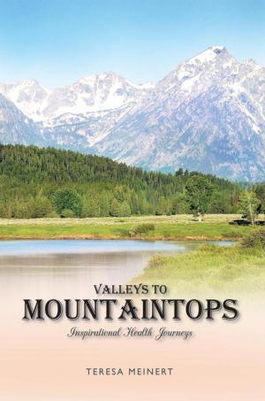 Cover of the book Valleys to Mountaintops by David Clapham