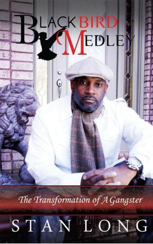 Cover of the book Black Bird Medley by D. J. Robinson