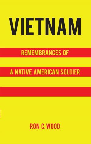 Book cover of Vietnam: Remembrances of a Native American Soldier