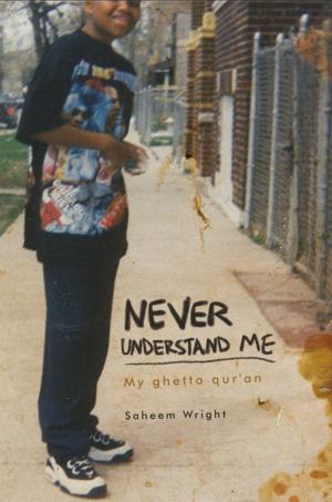 Book cover of Never Understand Me