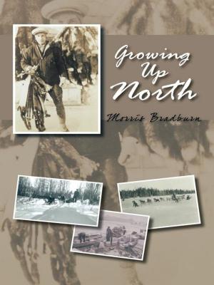 Cover of the book Growing up North by Paul Colella