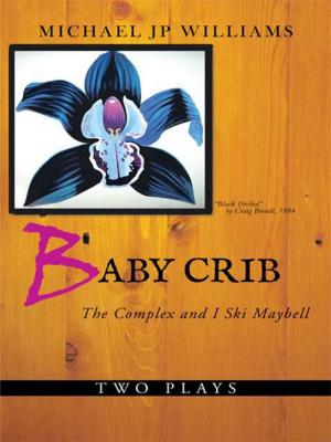 Book cover of Baby Crib