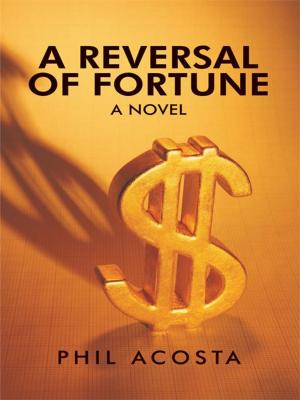 Cover of the book A Reversal of Fortune: a Novel by Doug McPheters