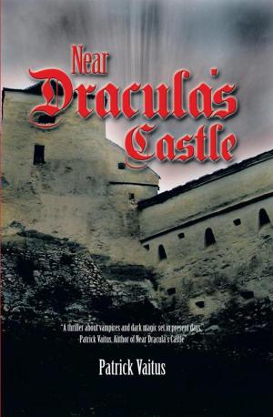 Cover of the book Near Dracula's Castle by Bernadette M. Burke, Michael Burke