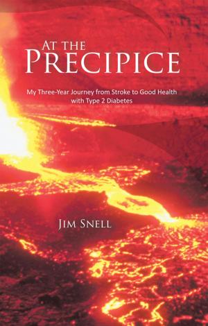 Cover of the book At the Precipice by Edgar Crespo