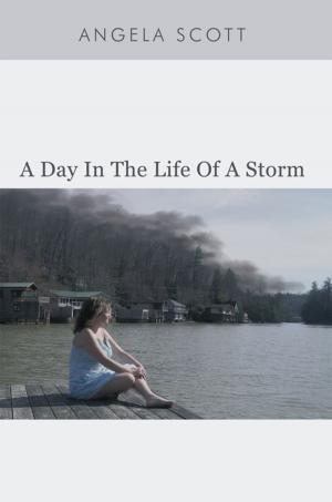 Cover of the book A Day in the Life of a Storm by Daniel Cross