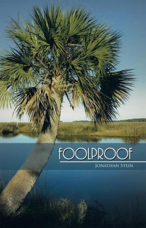 Cover of the book Foolproof by David Sachs M.D.