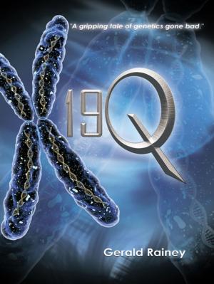 Cover of the book 19Q by Alfred J. Hudon
