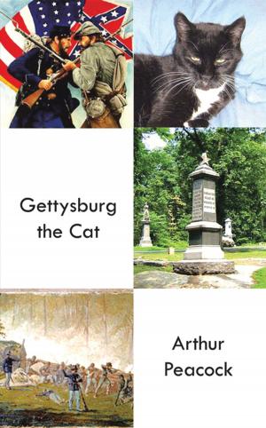 Cover of the book Gettysburg the Cat by Liso Makarius Starrett D. Min.