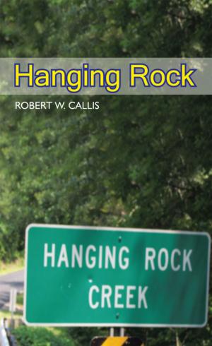 bigCover of the book Hanging Rock by 