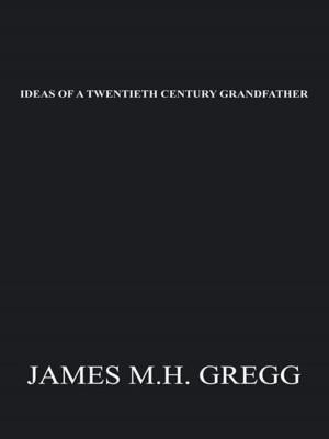 Cover of the book Ideas of a Twentieth Century Grandfather by Jim Saunders, Paul Hunt