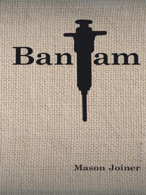 Cover of the book Bantam by Walter David Hickock, Linda LeBert-Corbello
