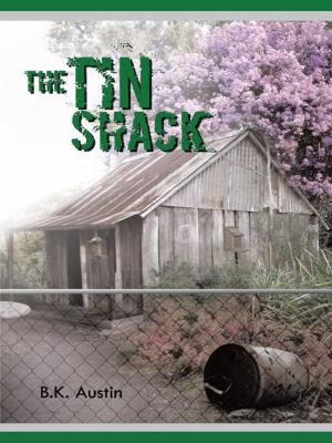 Cover of the book The Tin Shack by Brian Hope