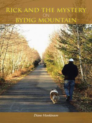 Cover of the book Rick and the Mystery on Bydig Mountain by Gerry Burke