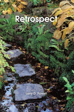 Cover of the book Retrospect by Daniel Flores