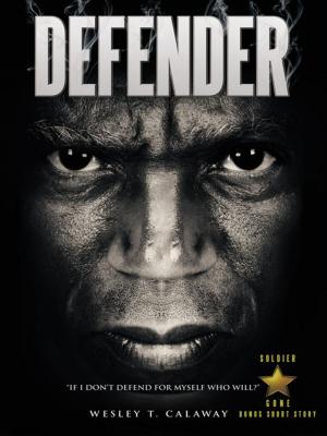 Cover of the book Defender by Jimmy James