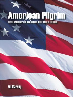 Cover of the book American Pilgrim by Richard Mann