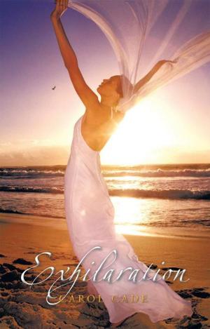 Cover of the book Exhilaration by Zena Pearlstone