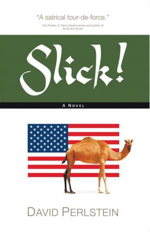 Cover of the book Slick! by E.S. Burton