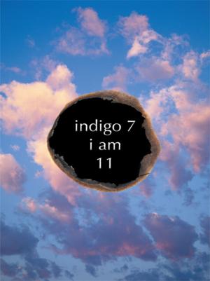 Cover of the book Indigo 7 by Patricia Hilliard