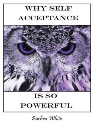 Cover of the book Why Self Acceptance Is so Powerful by Dr. Robert W. Kessel
