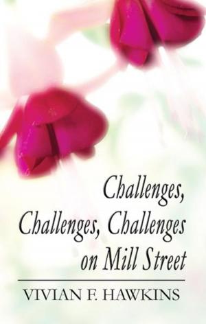 Cover of the book Challenges, Challenges, Challenges on Mill Street by Judith Dompierre
