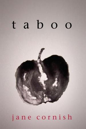 Cover of the book Taboo by James Messam