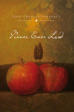 Cover of the book Never, Ever Land by Tomas Trinidad