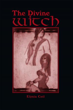 Cover of the book The Divine Witch by Qzac