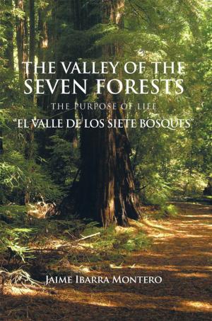 Cover of the book The Valley of the Seven Forests the Purpose of Life "El Valle De Los Siete Bosques" by Erlin Herrera Donate