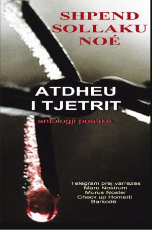 Cover of the book Atdheu I Tjetrit by Alexander Nastasi