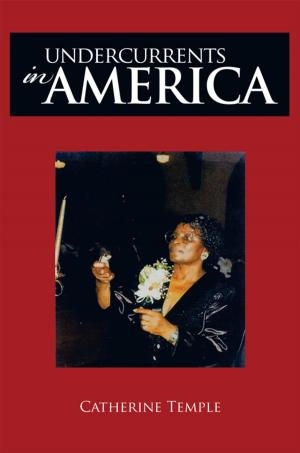 Cover of the book Undercurrents in America by Raymona Bevel Ed.D.