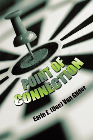 Cover of the book Point of Connection by Donald J. Richardson