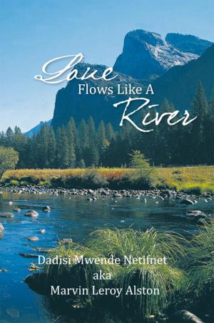 Cover of the book Love Flows Like a River by Tamir Kobrin