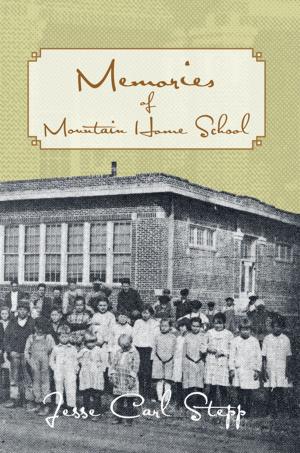 Cover of the book Memories of Mountain Home School by Nicolette Piaubert